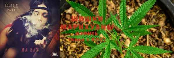 альфа пвп Бородино